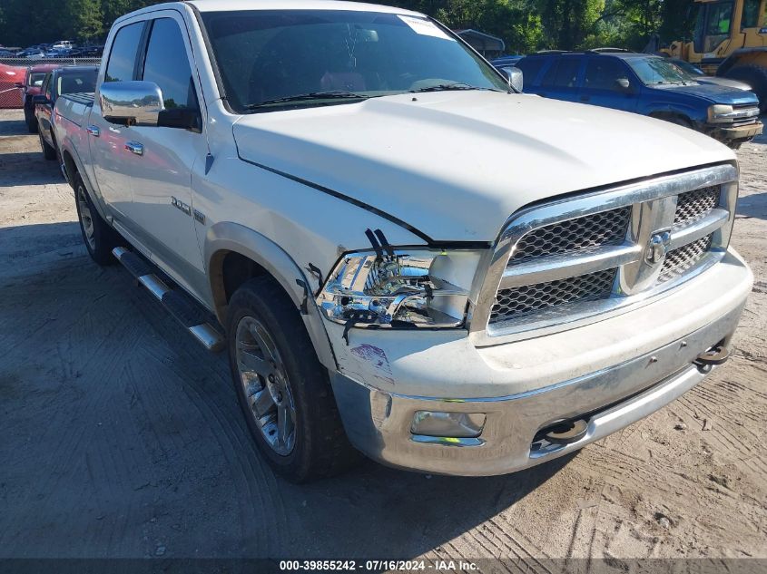 2009 Dodge Ram 1500 VIN: 1D3HV13T09J525798 Lot: 39855242