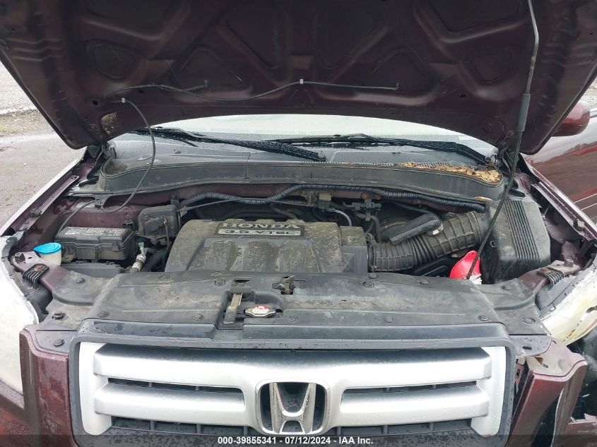 2007 Honda Pilot Ex-L VIN: 5FNYF18767B017311 Lot: 39855341