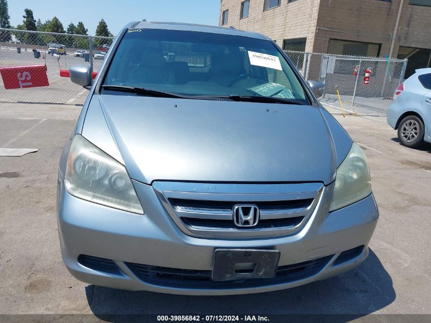 2007 Honda Odyssey Ex-L VIN: 5FNRL38717B116403 Lot: 39856842