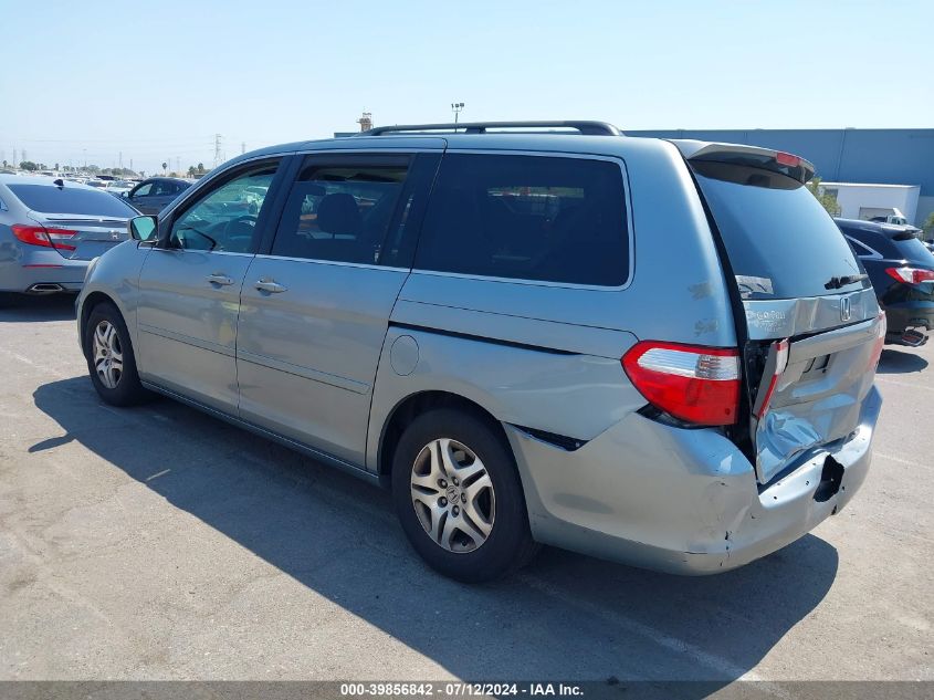 2007 Honda Odyssey Ex-L VIN: 5FNRL38717B116403 Lot: 39856842