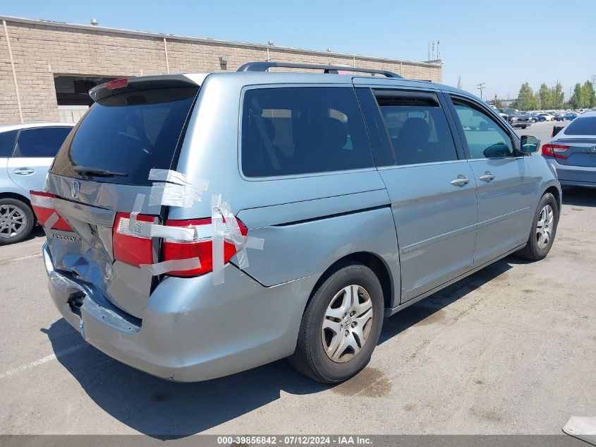 2007 Honda Odyssey Ex-L VIN: 5FNRL38717B116403 Lot: 39856842