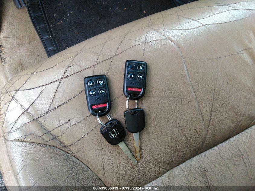 2007 Honda Odyssey Ex-L VIN: 5FNRL38707B127246 Lot: 39856919