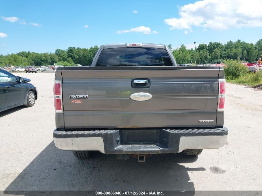 2012 Ford F-150 Xlt VIN: 1FTFX1CF9CFB60858 Lot: 39856940