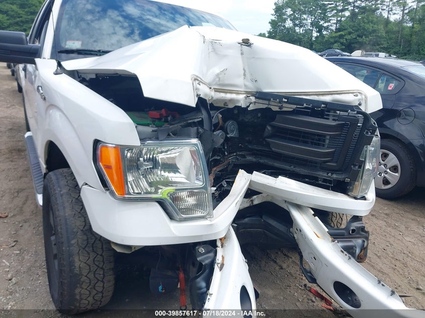 2013 Ford F-150 Stx VIN: 1FTFX1EF3DFC84090 Lot: 39857617