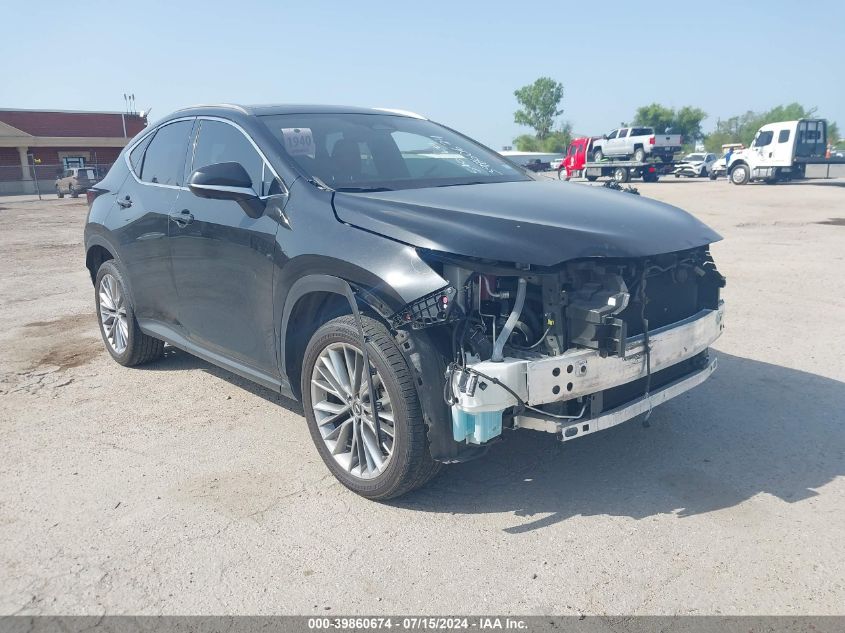 2022 LEXUS NX 350 350 - JTJHGCEZ8N5000617