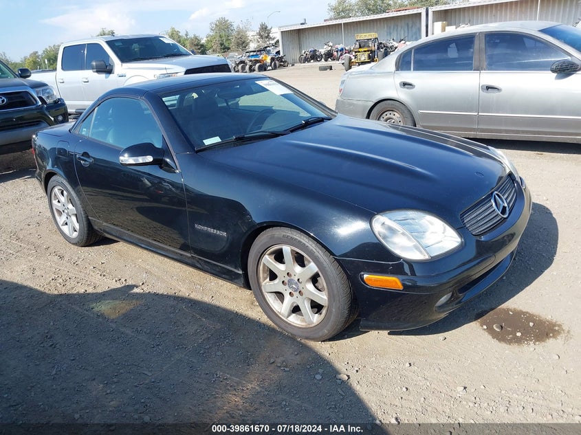 2004 Mercedes-Benz Slk 230 Kompressor VIN: WDBKK49FX4F306576 Lot: 39861670