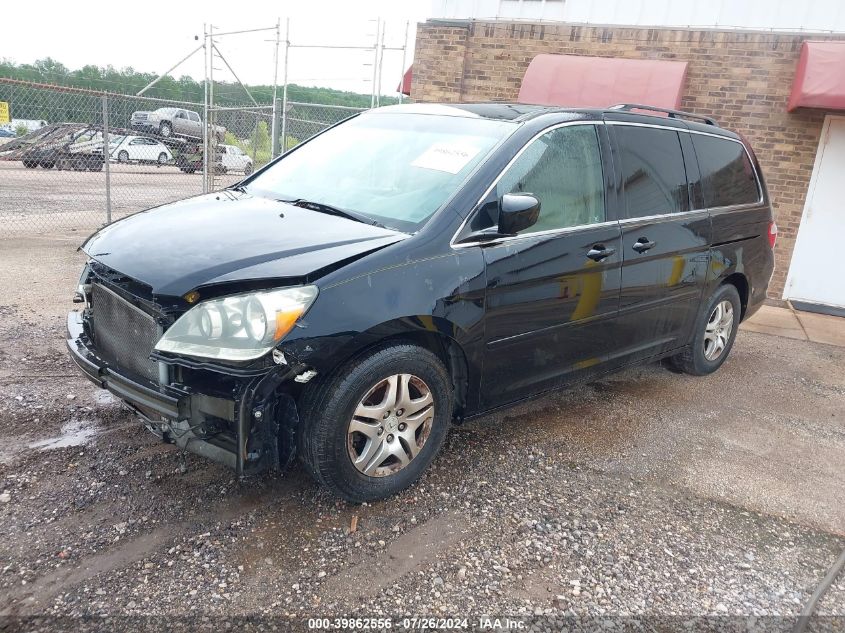 2007 Honda Odyssey Ex-L VIN: 5FNRL38717B056462 Lot: 39862556