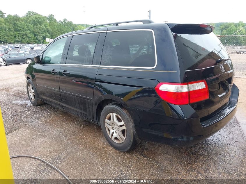 2007 Honda Odyssey Ex-L VIN: 5FNRL38717B056462 Lot: 39862556