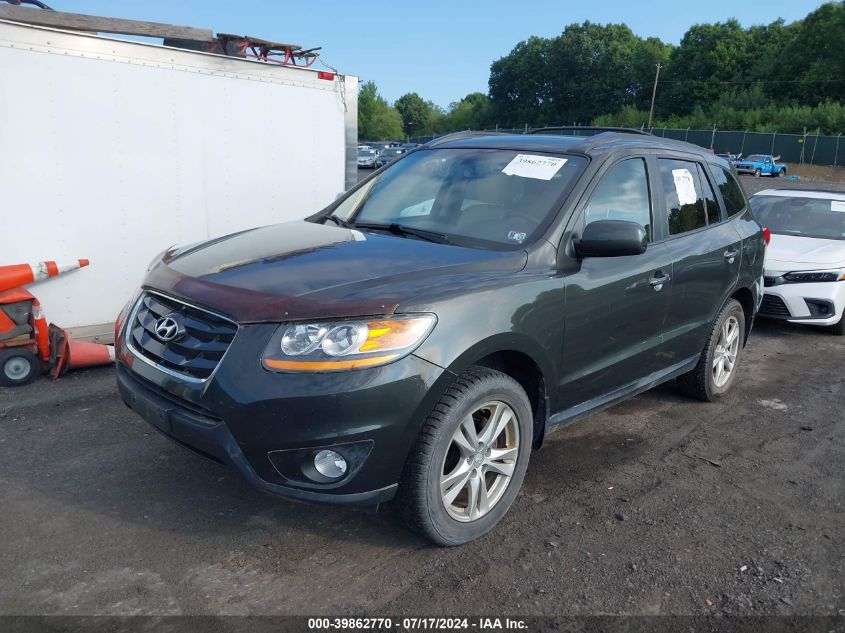 2010 Hyundai Santa Fe Limited V6 VIN: 5NMSKDAG7AH338454 Lot: 39862770