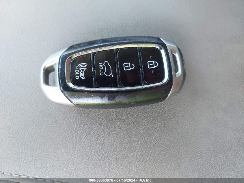 2020 Hyundai Santa Fe Limited VIN: 5NMS53AD8LH262480 Lot: 39863876