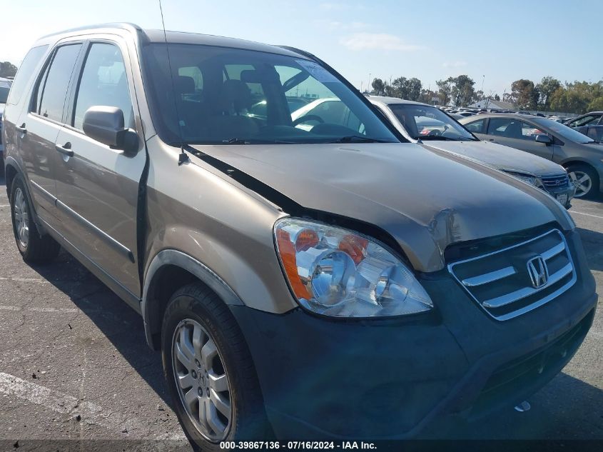 2005 Honda Cr-V Ex VIN: JHLRD78835C026891 Lot: 39867136