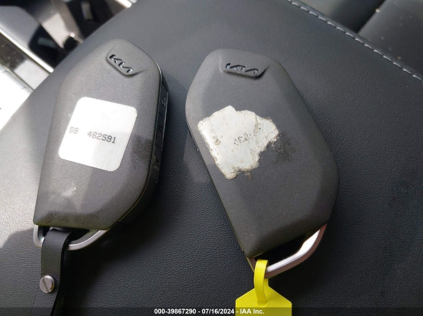 2024 Kia Telluride Ex VIN: 5XYP3DGC5RG462591 Lot: 39867290