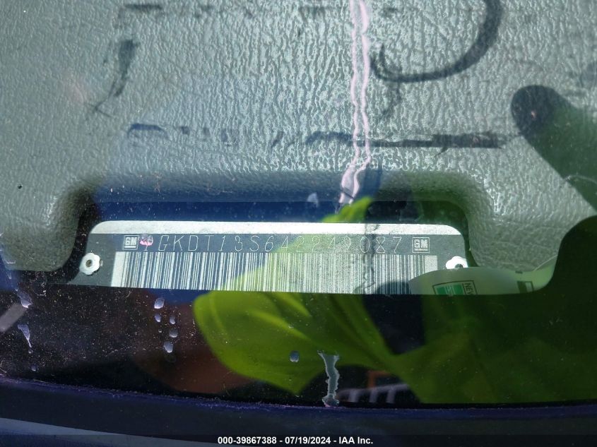 2004 GMC Envoy Slt VIN: 1GKDT13S642249087 Lot: 39867388