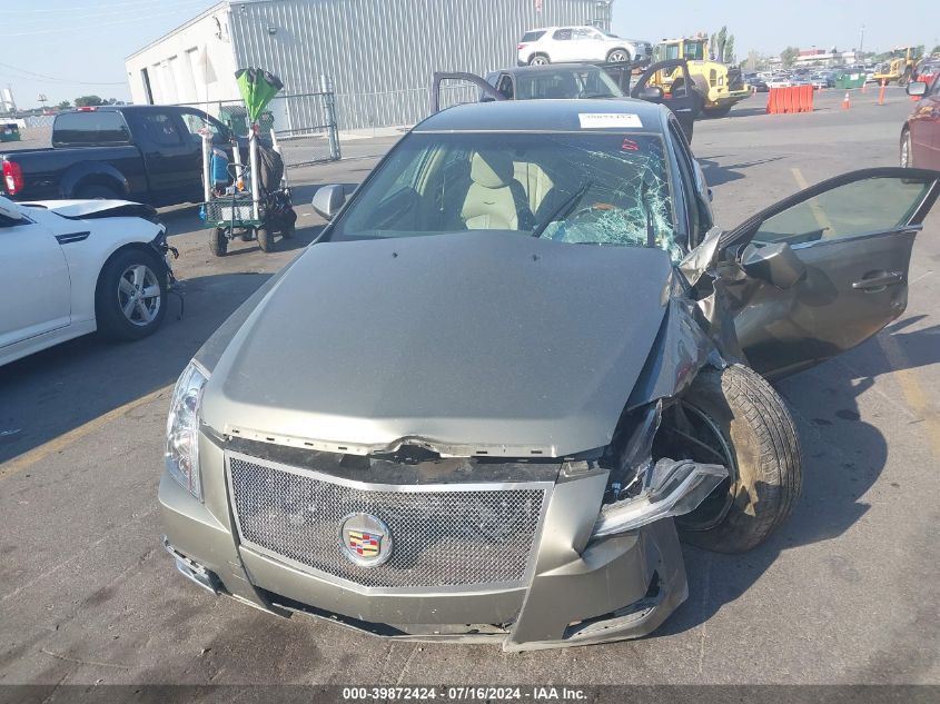 2010 Cadillac Cts Luxury VIN: 1G6DG5EG1A0141910 Lot: 39872424
