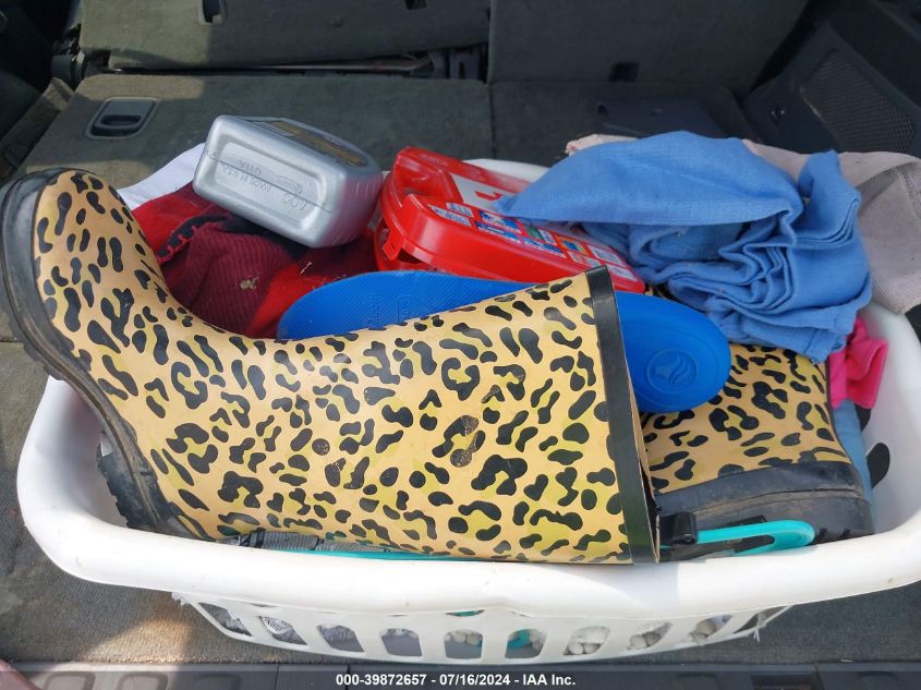 2007 Honda Pilot Ex-L VIN: 5FNYF285X7B001309 Lot: 39872657