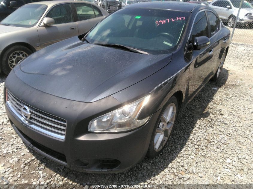 2010 Nissan Maxima 3.5 Sv VIN: 1N4AA5AP8AC850491 Lot: 39872788