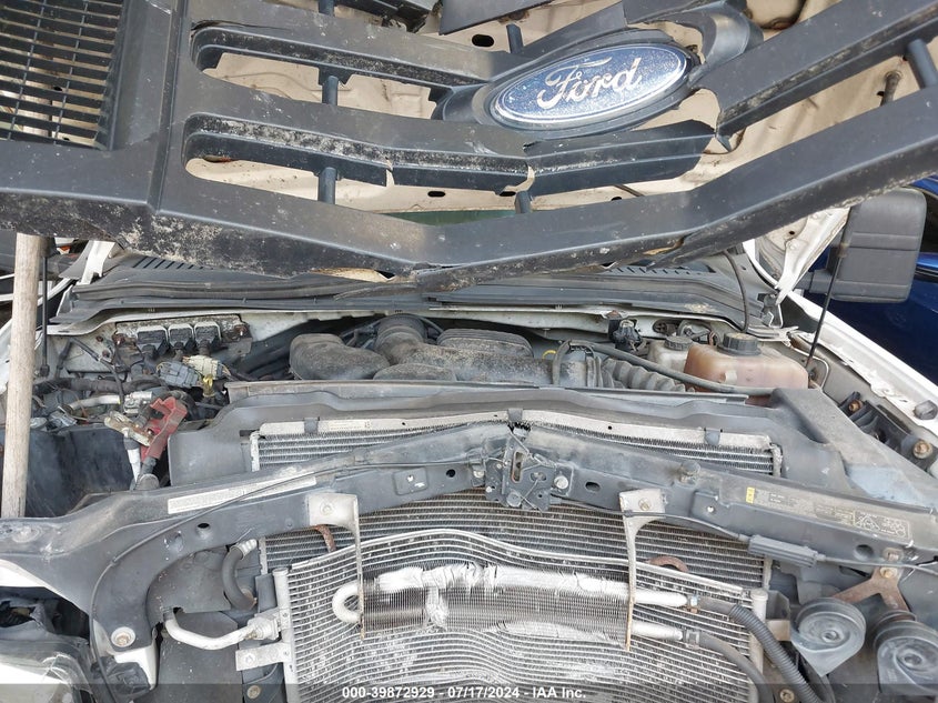 2009 Ford F-250 King Ranch/Lariat/Xl/Xlt VIN: 1FTSW20539EA18779 Lot: 39872929