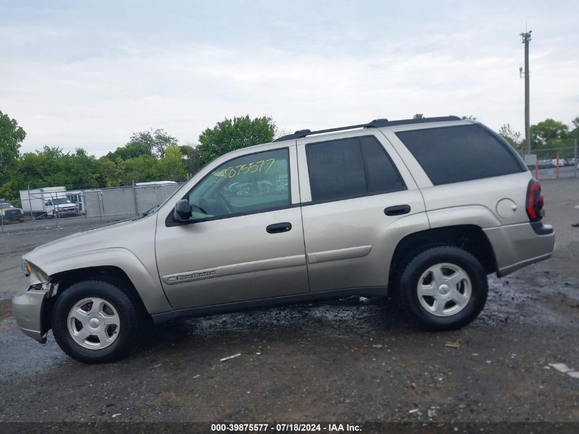 2002 Chevrolet Trailblazer VIN: 1GNDT13S222248373 Lot: 39875577