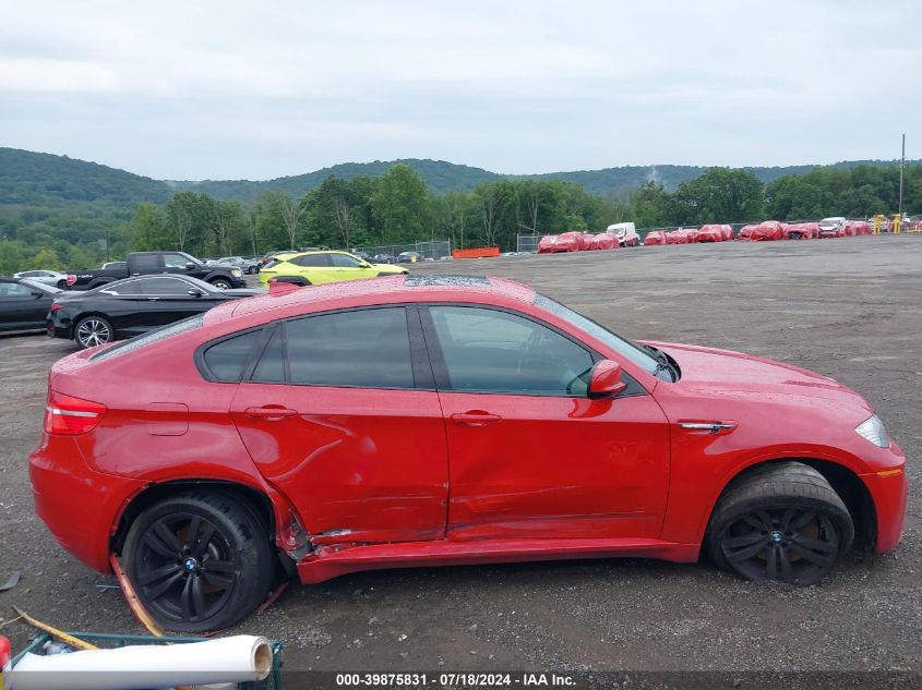 2010 BMW X6 M M VIN: 5YMGZ0C52ALK13471 Lot: 39875831