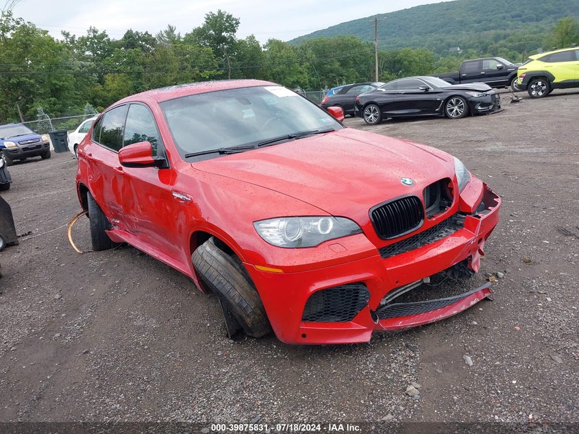 2010 BMW X6 M M VIN: 5YMGZ0C52ALK13471 Lot: 39875831