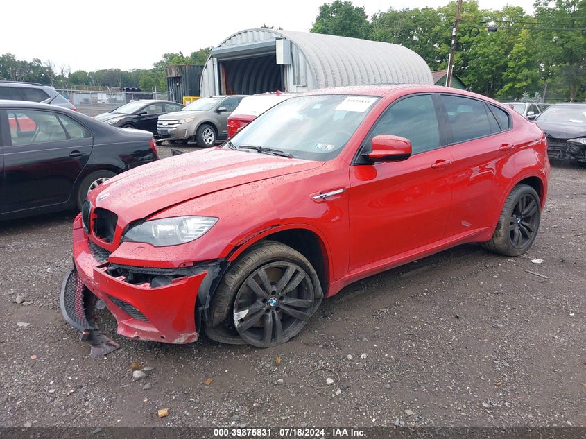 2010 BMW X6 M M VIN: 5YMGZ0C52ALK13471 Lot: 39875831