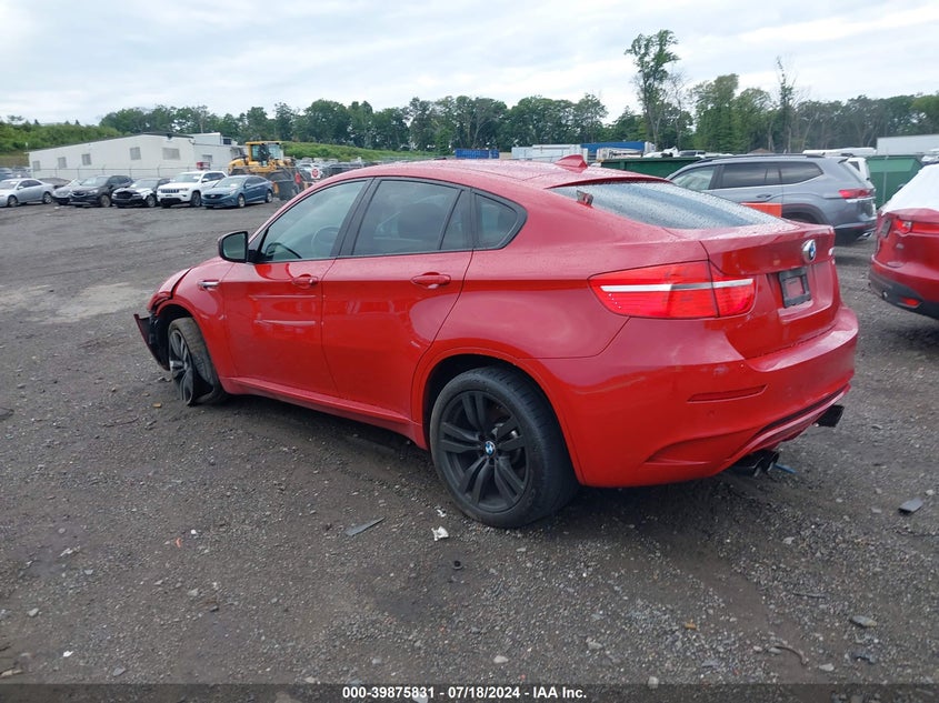 2010 BMW X6 M M VIN: 5YMGZ0C52ALK13471 Lot: 39875831