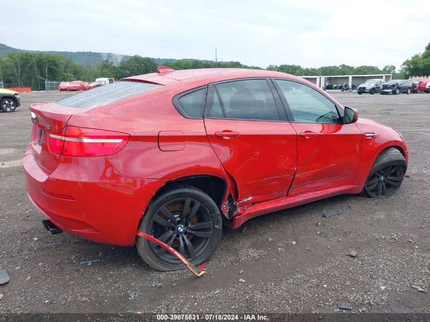 2010 BMW X6 M M VIN: 5YMGZ0C52ALK13471 Lot: 39875831