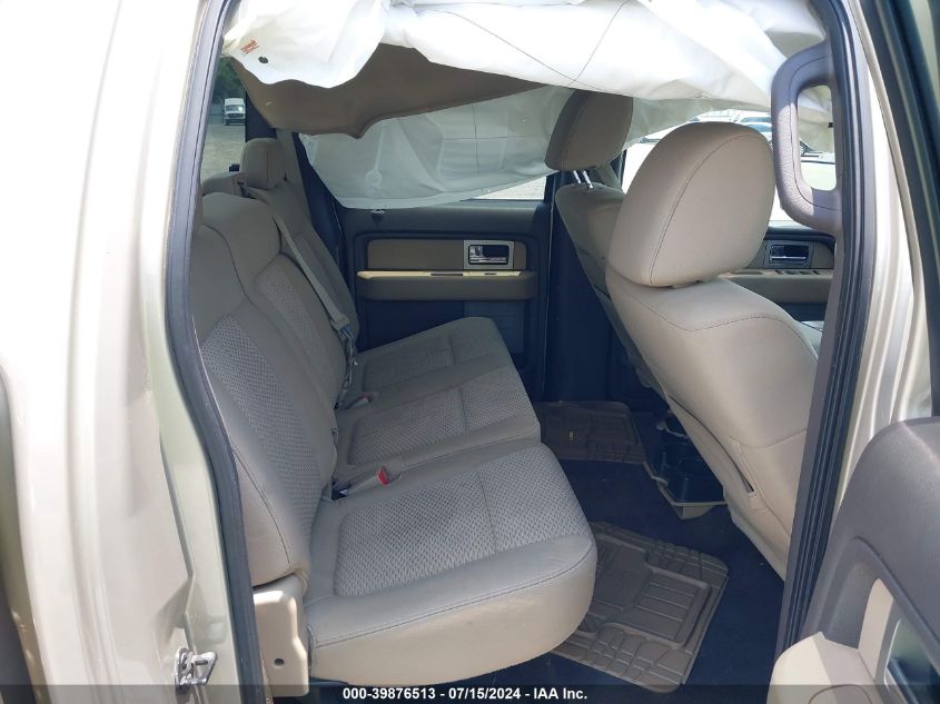 2009 Ford F-150 Xl/Xlt VIN: 1FTRW12819FB31513 Lot: 39876513