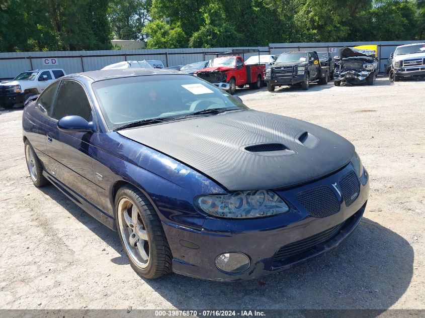 2005 Pontiac Gto VIN: 6G2VX12U25L352131 Lot: 39876870