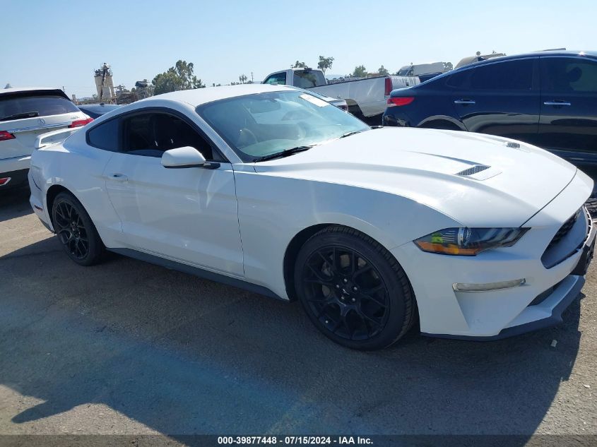 2019 FORD MUSTANG ECOBOOST - 1FA6P8TH0K5134959