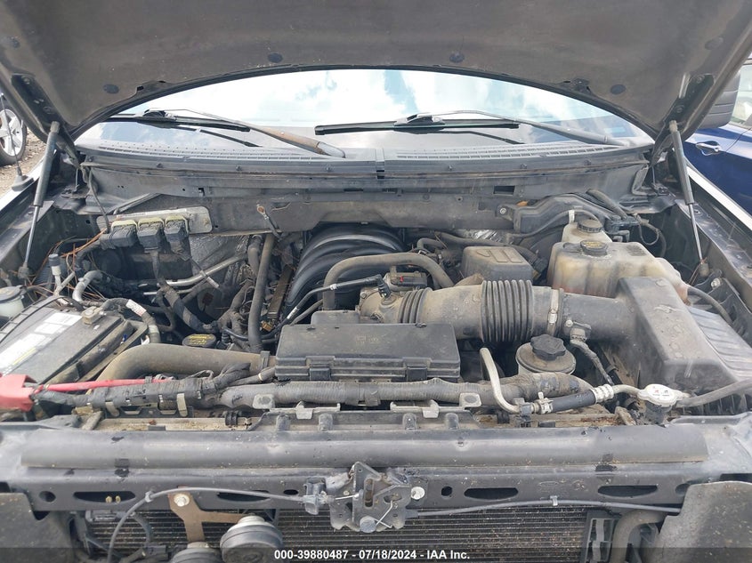 2010 Ford F-150 Xl/Xlt VIN: 1FTEW1E89AKE23965 Lot: 39880487