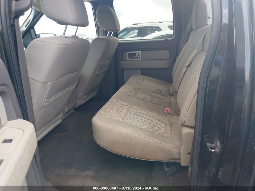 2010 Ford F-150 Xl/Xlt VIN: 1FTEW1E89AKE23965 Lot: 39880487