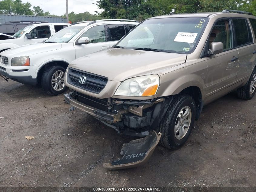 2005 Honda Pilot Ex-L VIN: 5FNYF18615B018998 Lot: 39882168