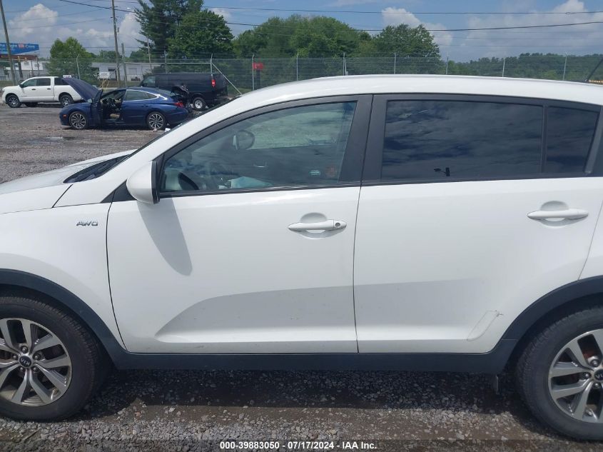 2014 Kia Sportage Lx VIN: KNDPBCAC3E7551332 Lot: 39883050