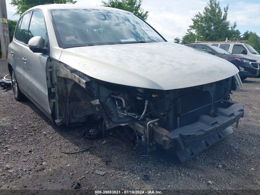 2009 Volkswagen Tiguan S/Se/Sel VIN: WVGAV75N69W519899 Lot: 39883831