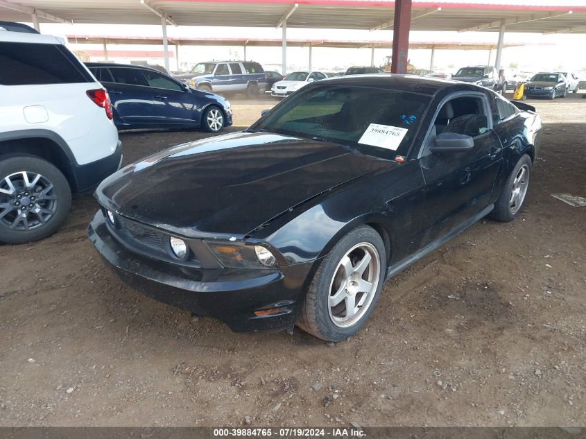 2011 Ford Mustang VIN: 1ZVBP8AM6B5154817 Lot: 39884765