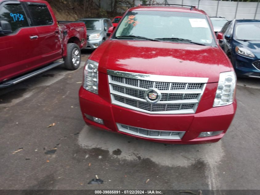 2013 Cadillac Escalade Platinum Edition VIN: 1GYS4DEF2DR102347 Lot: 39885891