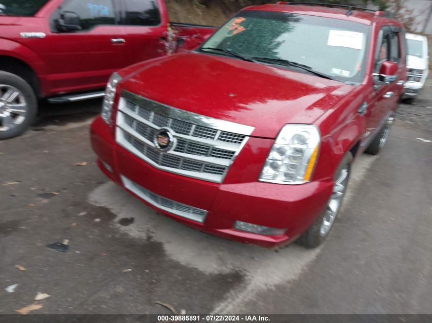 2013 Cadillac Escalade Platinum Edition VIN: 1GYS4DEF2DR102347 Lot: 39885891