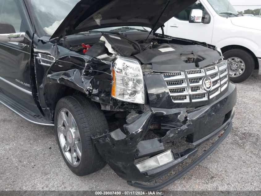 1GYFC23249R116363 2009 Cadillac Escalade Standard