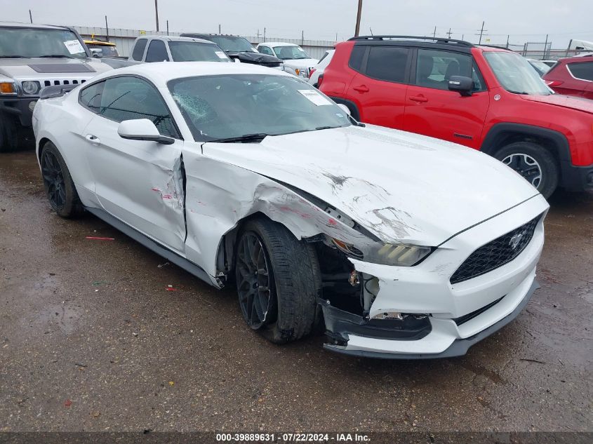 1FA6P8AM5H5340531 2017 FORD MUSTANG - Image 1