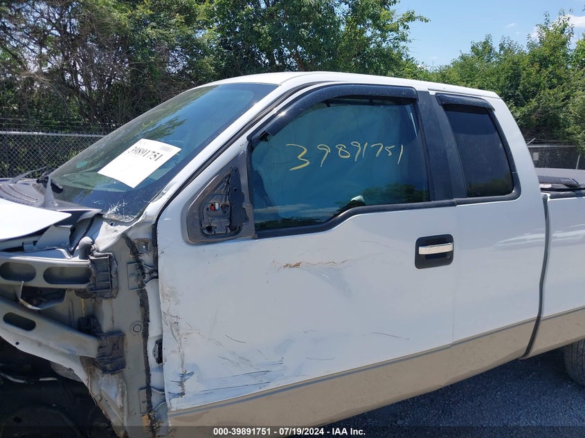 2009 Ford F-150 Stx/Xl/Xlt VIN: 1FTRX12809FA58132 Lot: 39891751