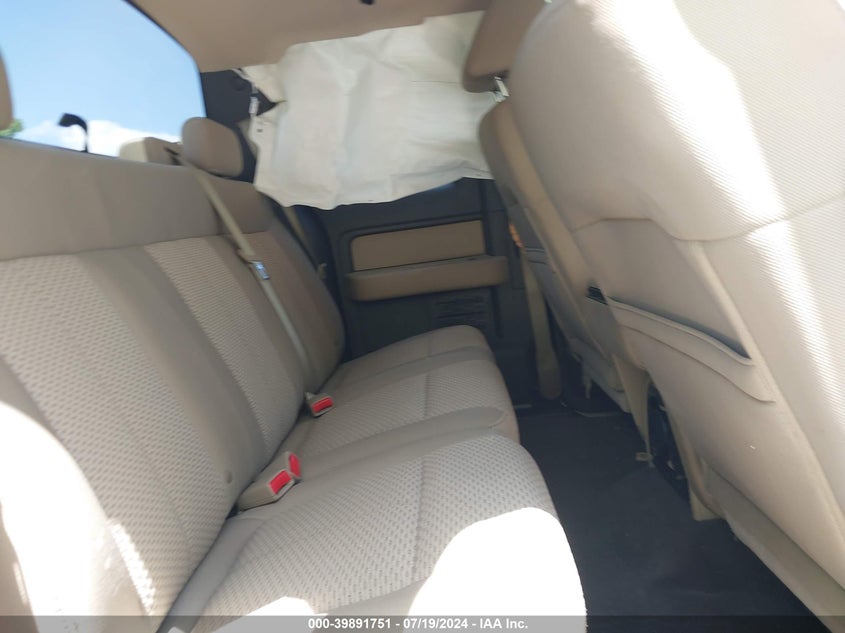 2009 Ford F-150 Stx/Xl/Xlt VIN: 1FTRX12809FA58132 Lot: 39891751