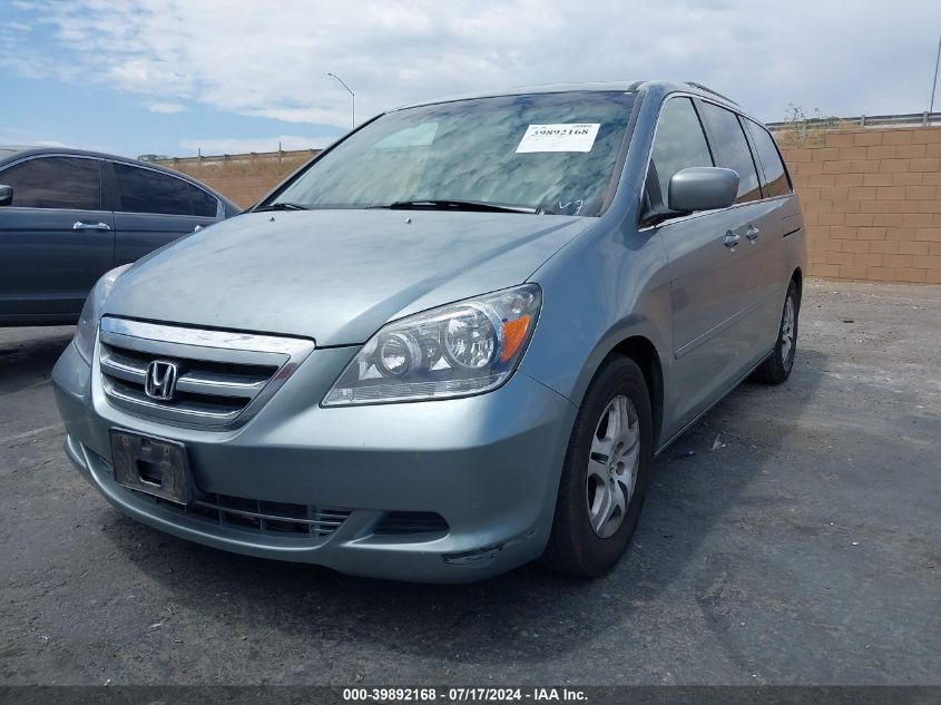 2005 Honda Odyssey Ex-L VIN: 5FNRL38665B038124 Lot: 39892168