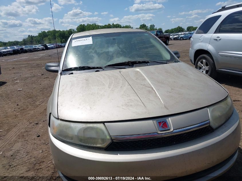 2003 Saturn Ion 2 VIN: 1G8AJ52F23Z130212 Lot: 39892613