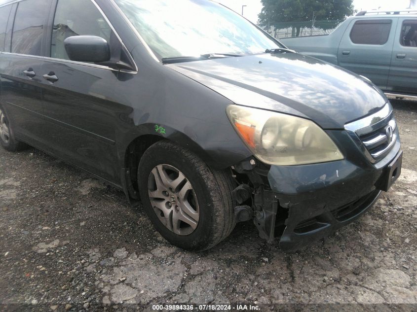 2005 Honda Odyssey Ex-L VIN: 5FNRL38745B101617 Lot: 39894336