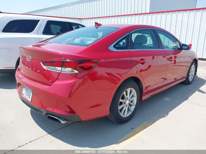 2019 Hyundai Sonata Eco VIN: 5NPE24AA3KH801736 Lot: 39898753