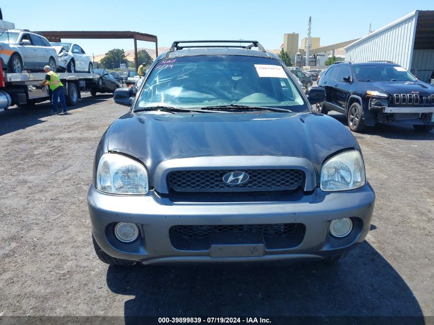 2003 Hyundai Santa Fe Gls/Lx VIN: KM8SC13D63U523391 Lot: 39899839