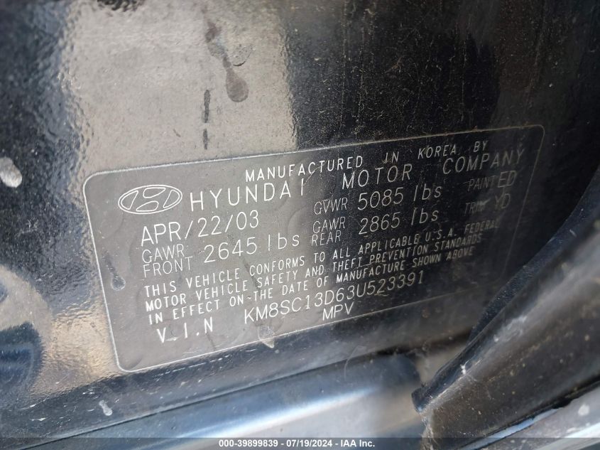 2003 Hyundai Santa Fe Gls/Lx VIN: KM8SC13D63U523391 Lot: 39899839