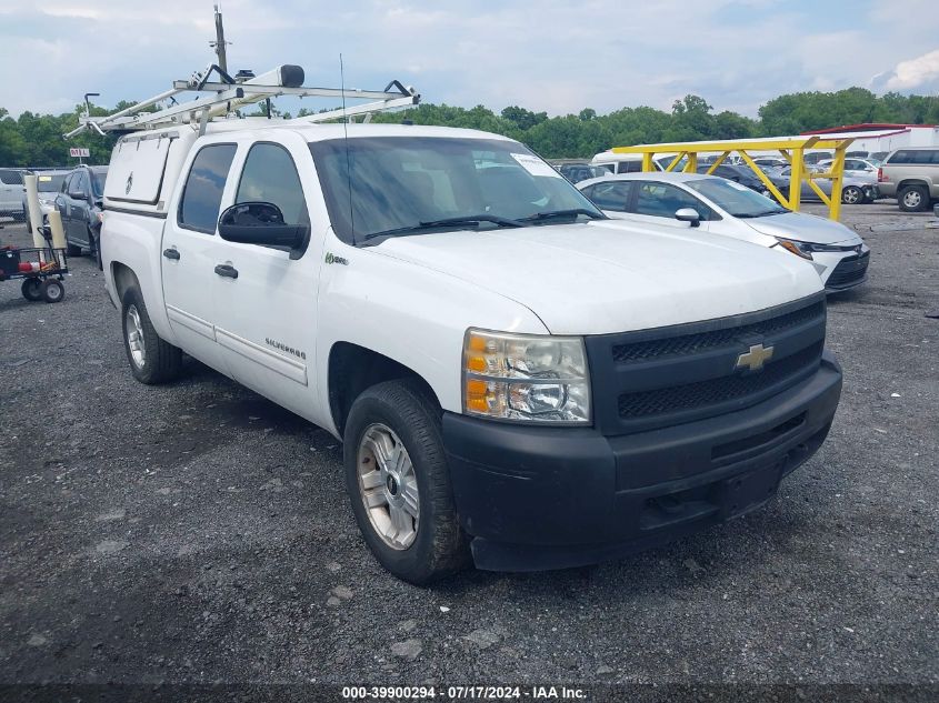 2010 Chevrolet Silverado 1500 Hybrid 1Hy VIN: 3GCXCUEJ9AG272509 Lot: 39900294