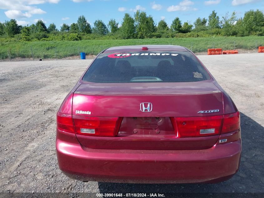 2005 Honda Accord 3.0 Ex VIN: 1HGCM66565A019081 Lot: 39901648
